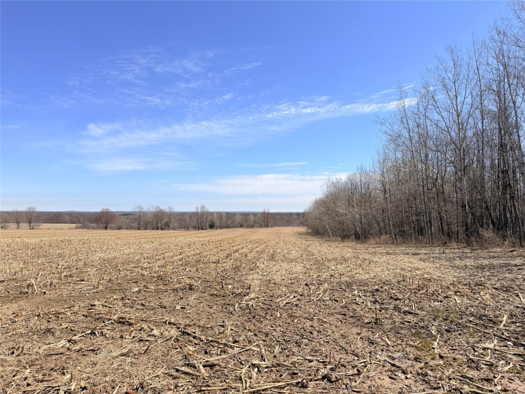 Land at Lot 2 14 1/2 Street, Rice Lake, WI 54868 — photo 20