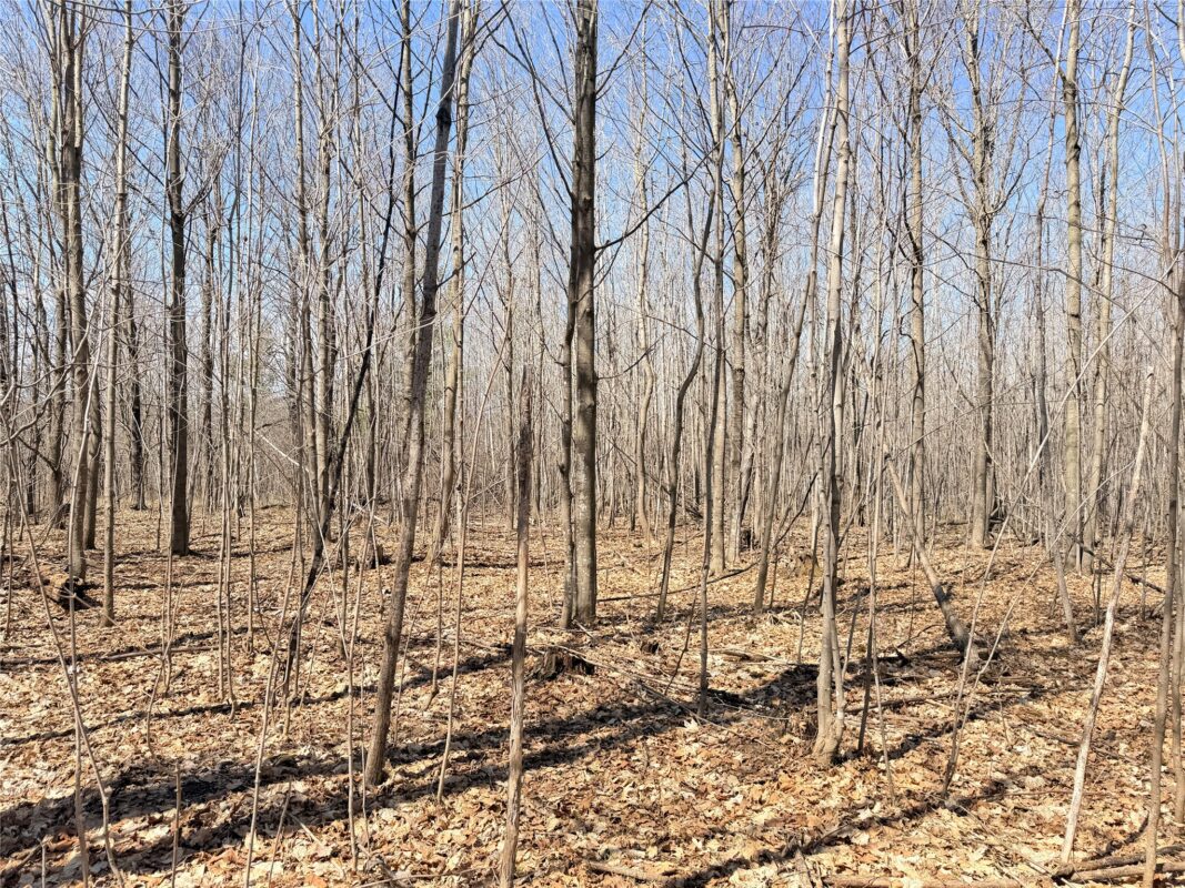 Land at Lot 2 14 1/2 Street, Rice Lake, WI 54868 — photo 22