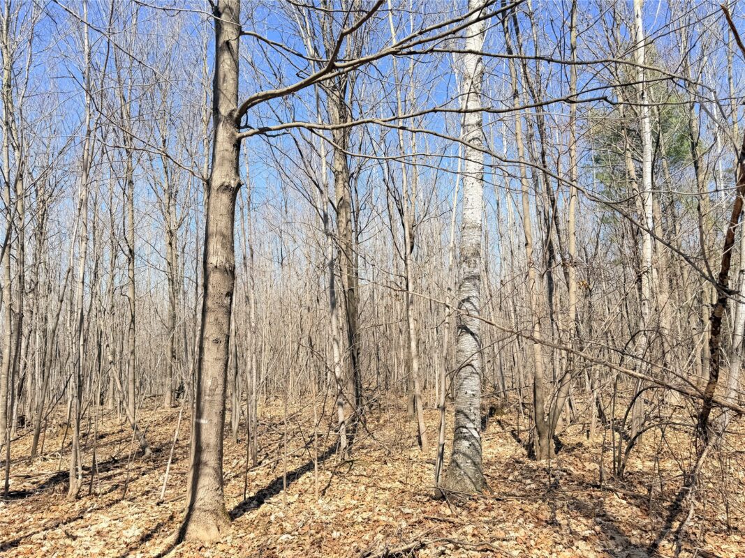 Land at Lot 2 14 1/2 Street, Rice Lake, WI 54868 — photo 23