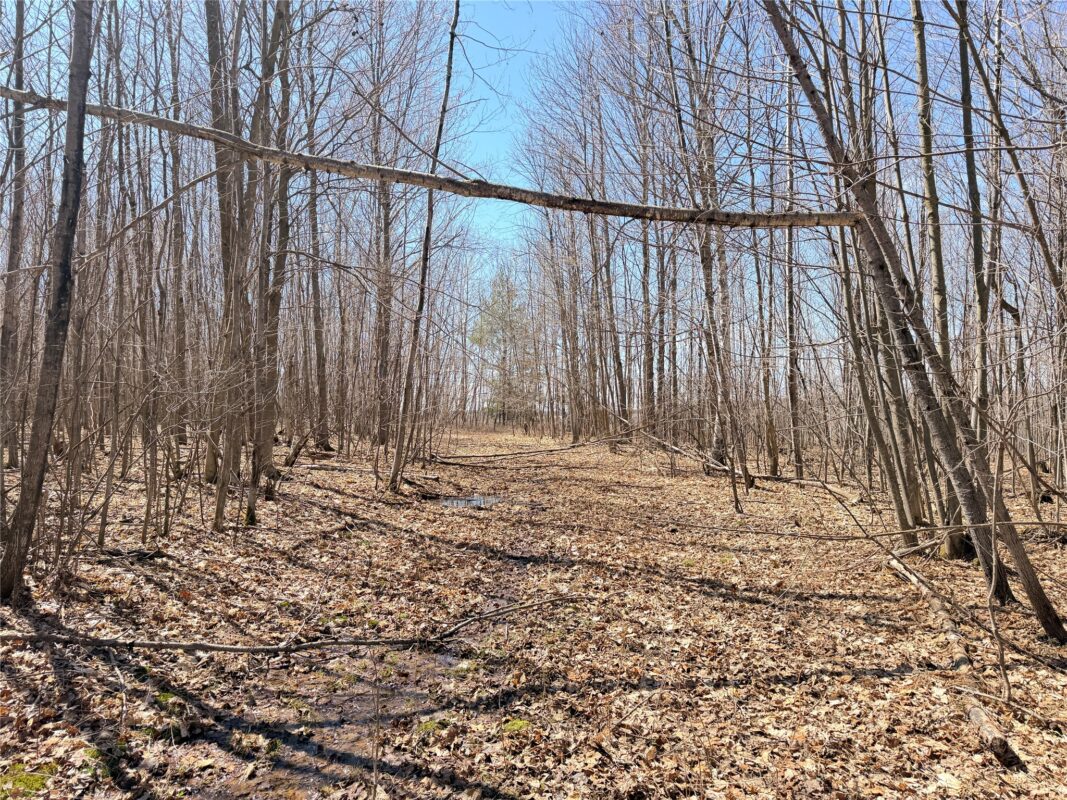 Land at Lot 2 14 1/2 Street, Rice Lake, WI 54868 — photo 24