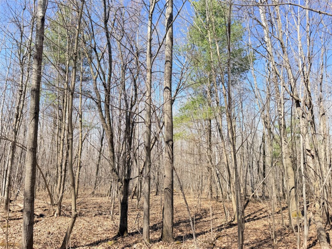 Land at Lot 2 14 1/2 Street, Rice Lake, WI 54868 — photo 25