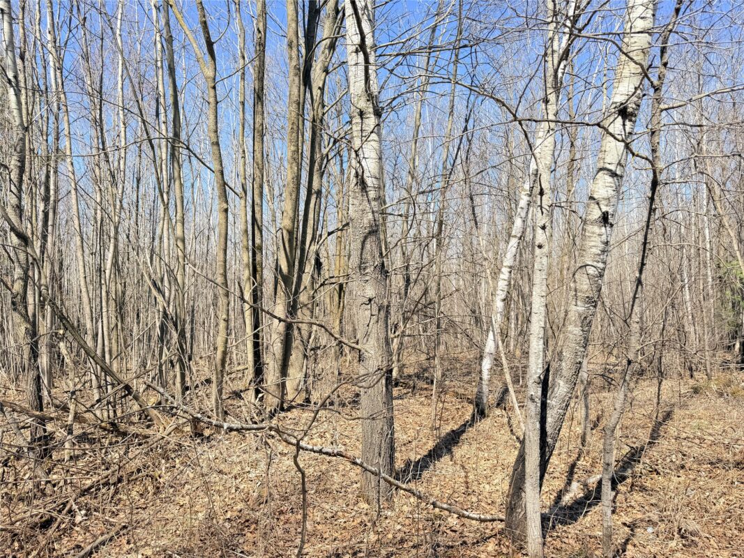 Land at Lot 2 14 1/2 Street, Rice Lake, WI 54868 — photo 26
