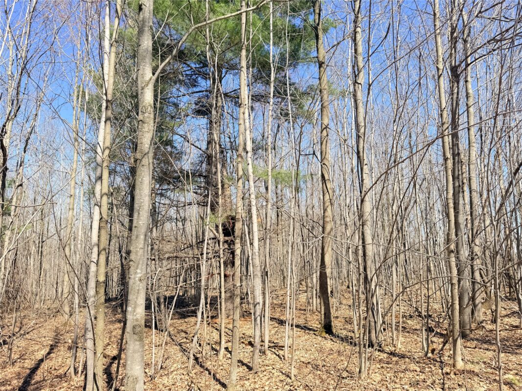 Land at Lot 2 14 1/2 Street, Rice Lake, WI 54868 — photo 3