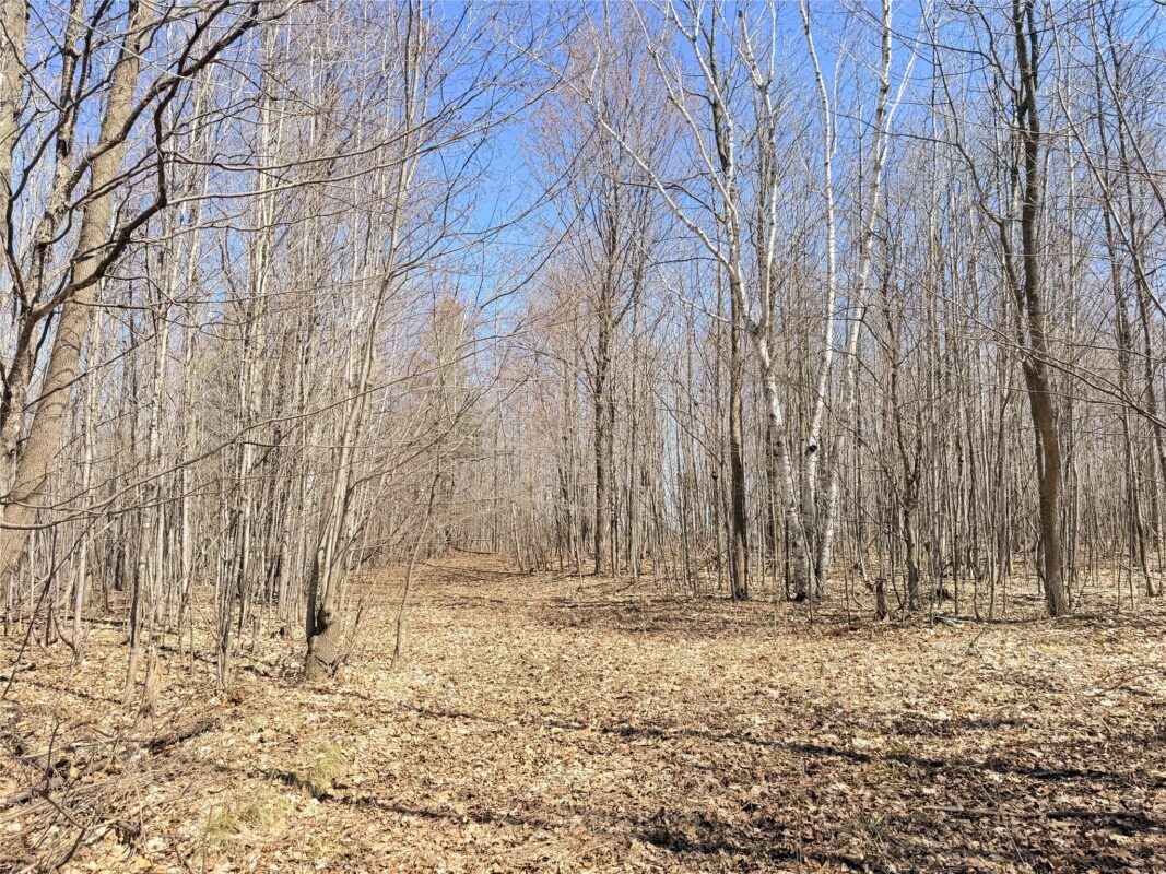 Land at Lot 2 14 1/2 Street, Rice Lake, WI 54868 — photo 4