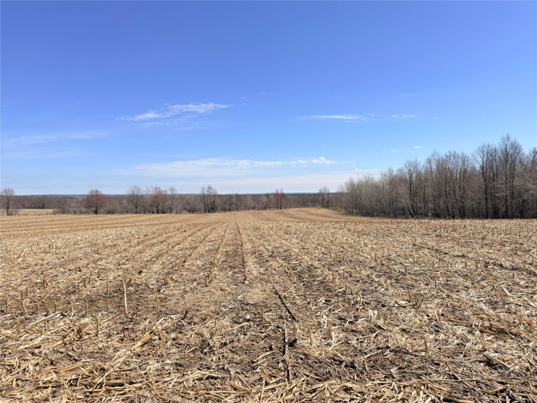 Land at Lot 2 14 1/2 Street, Rice Lake, WI 54868 — photo 6