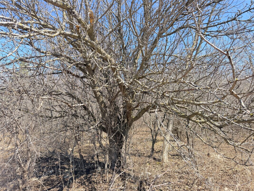 Land at Lot 2 14 1/2 Street, Rice Lake, WI 54868 — photo 7