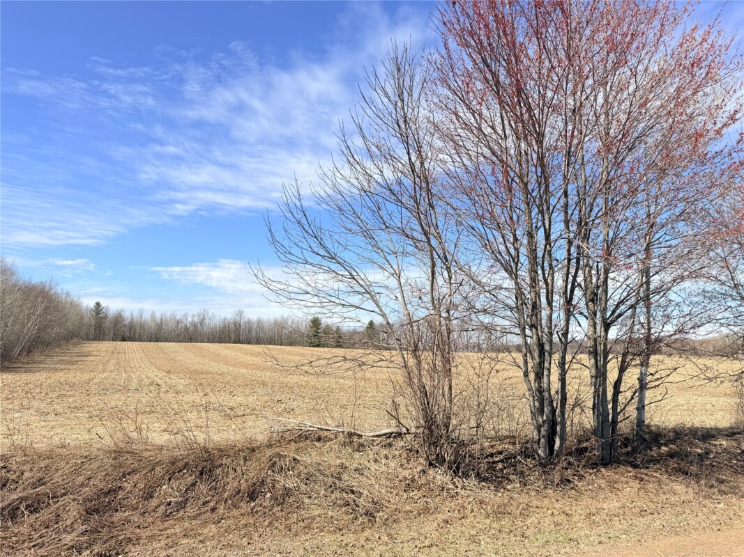 Land at Lot 2 14 1/2 Street, Rice Lake, WI 54868 — photo 8