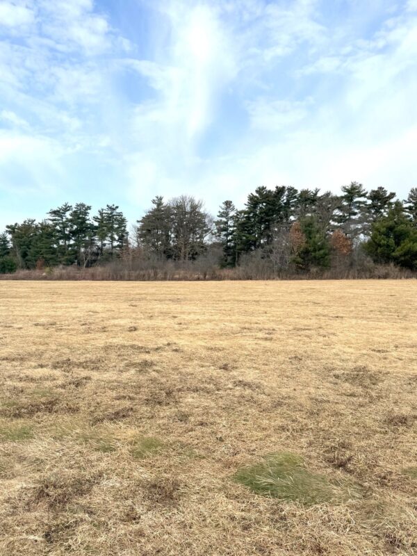 Lot 2 21st Street Rice Lake WI 54868 — photo 2