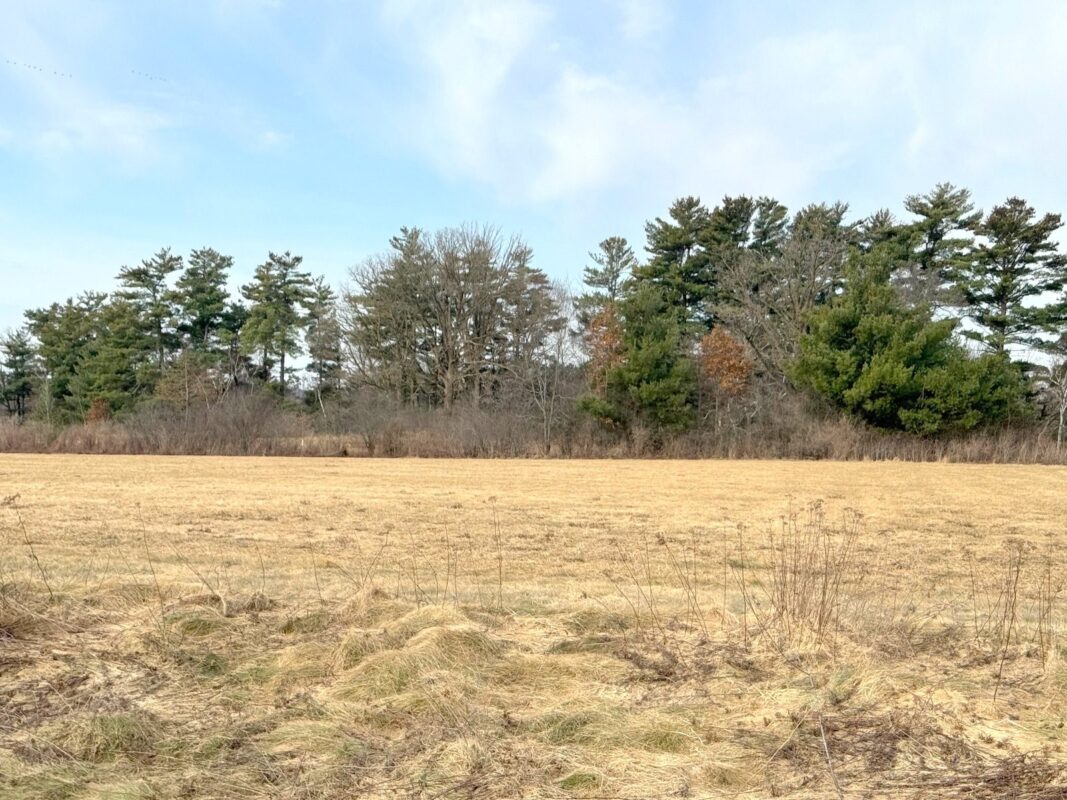 Lot 2 21st Street Rice Lake WI 54868 — photo 4