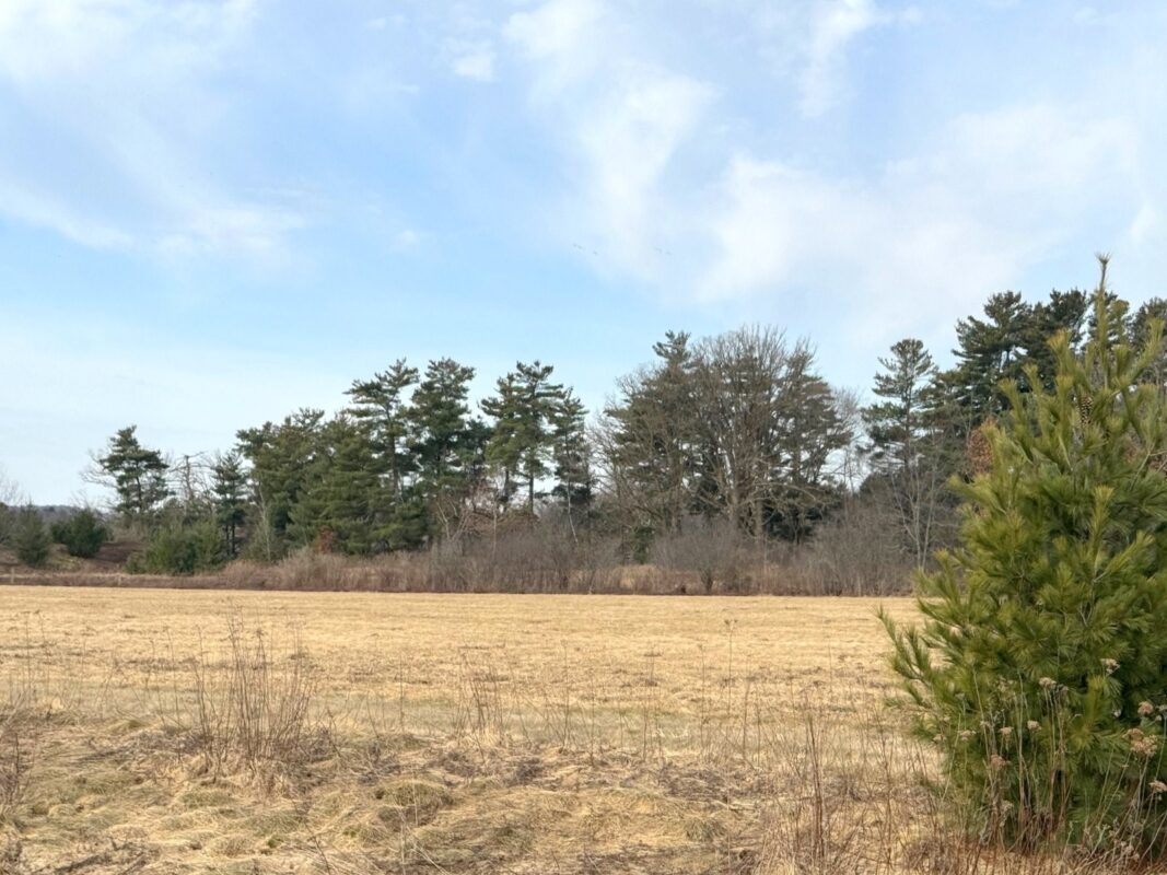 Lot 2 21st Street Rice Lake WI 54868 — photo 5