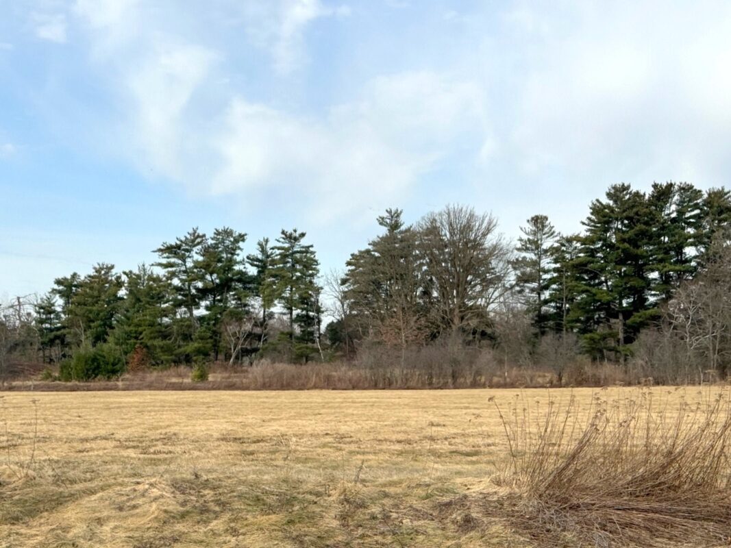 Lot 2 21st Street Rice Lake WI 54868 — photo 6