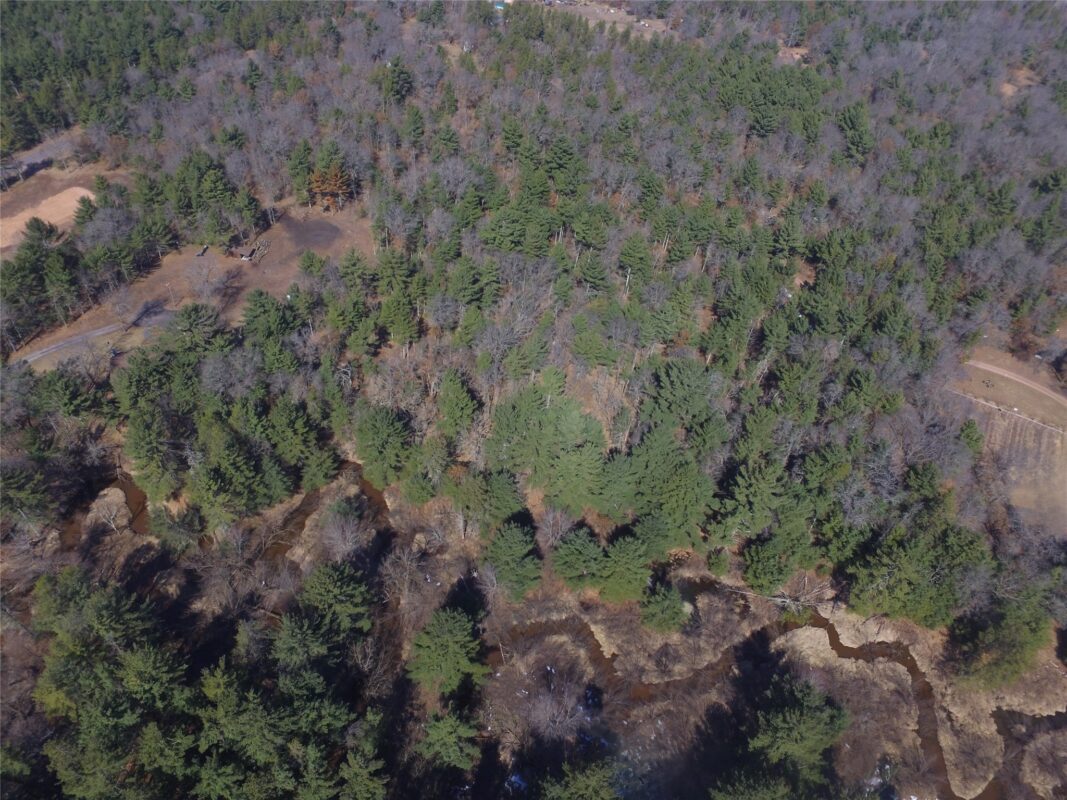 Lot 3 Larson Road Grantsburg WI 54840 — photo 2