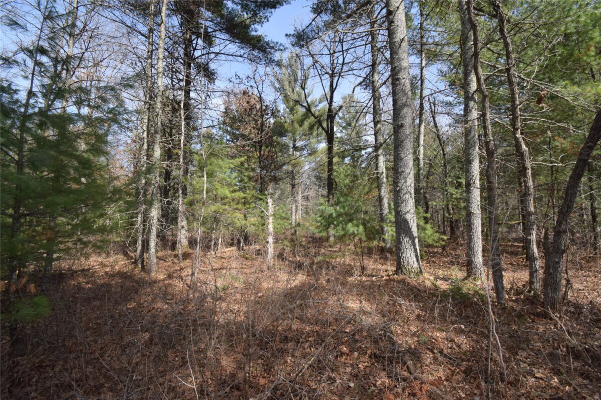 Lot 3 Larson Road Grantsburg WI 54840 — photo 4