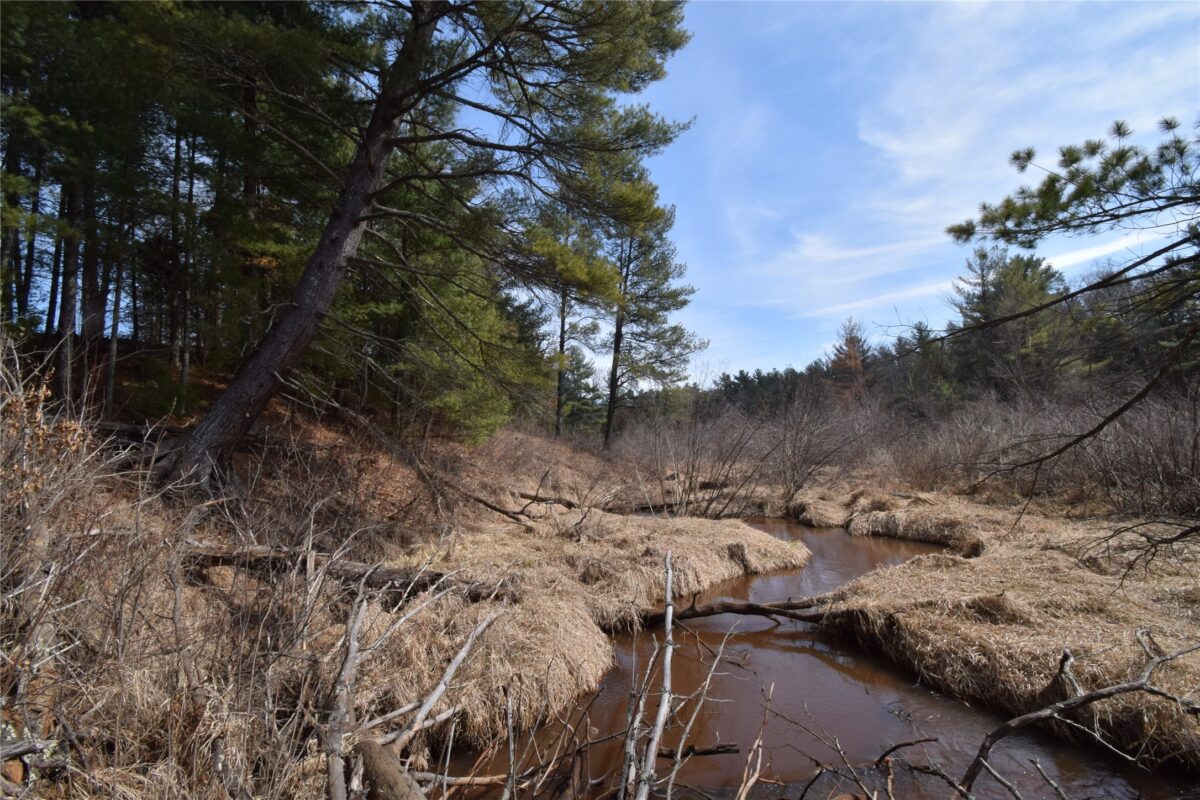 Lot 3 Larson Road Grantsburg WI 54840 — photo 5