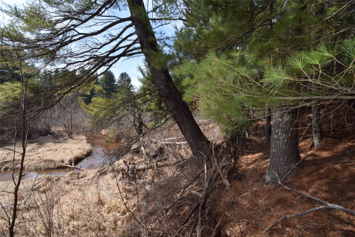 Lot 3 Larson Road Grantsburg WI 54840 — photo 6