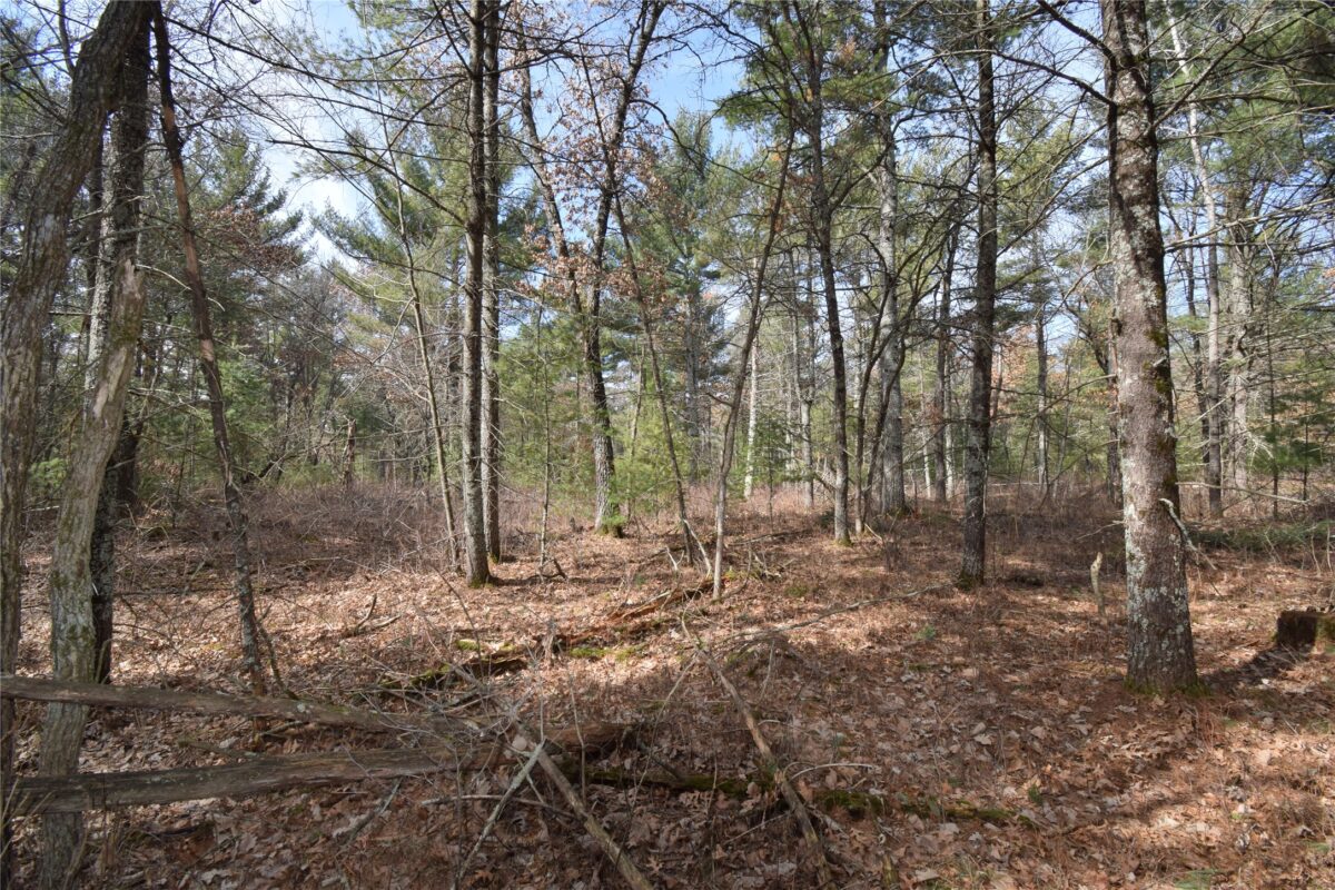 Lot 3 Larson Road Grantsburg WI 54840 — photo 7