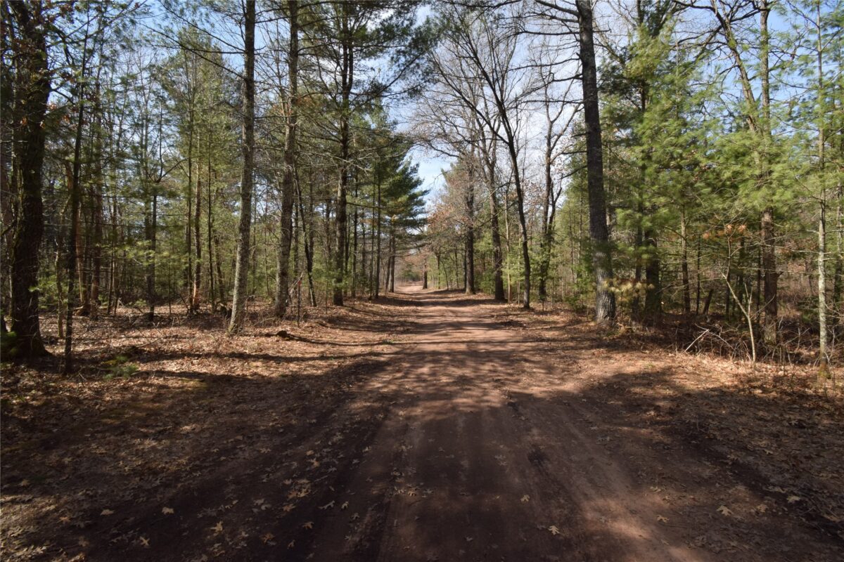Lot 3 Larson Road Grantsburg WI 54840 — photo 9