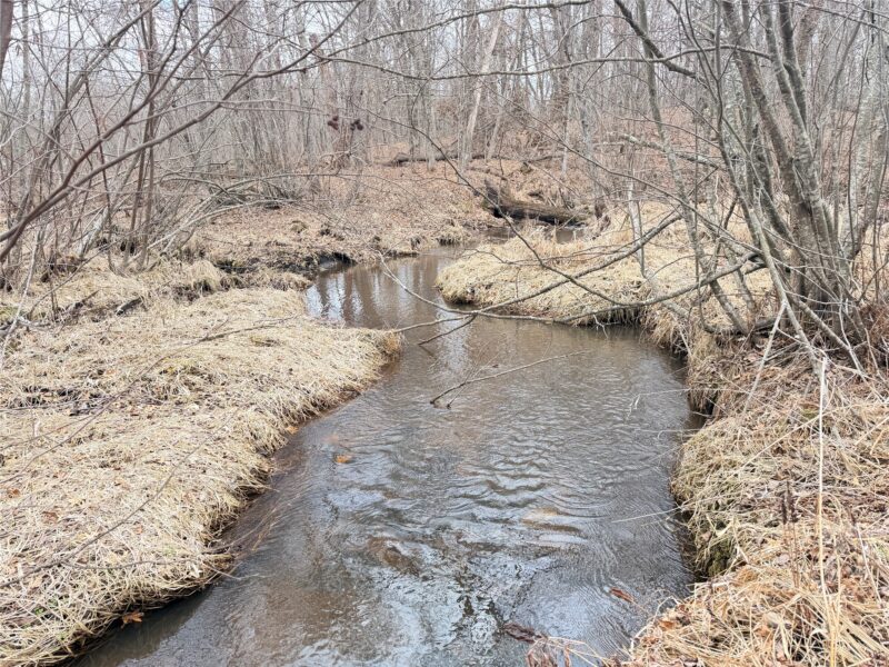 Lot 5 Big Lake Drive