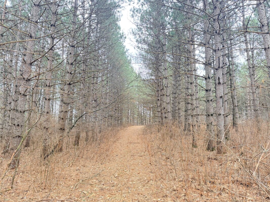 Lot 5 Big Lake Drive Osceola WI 54020 — photo 10