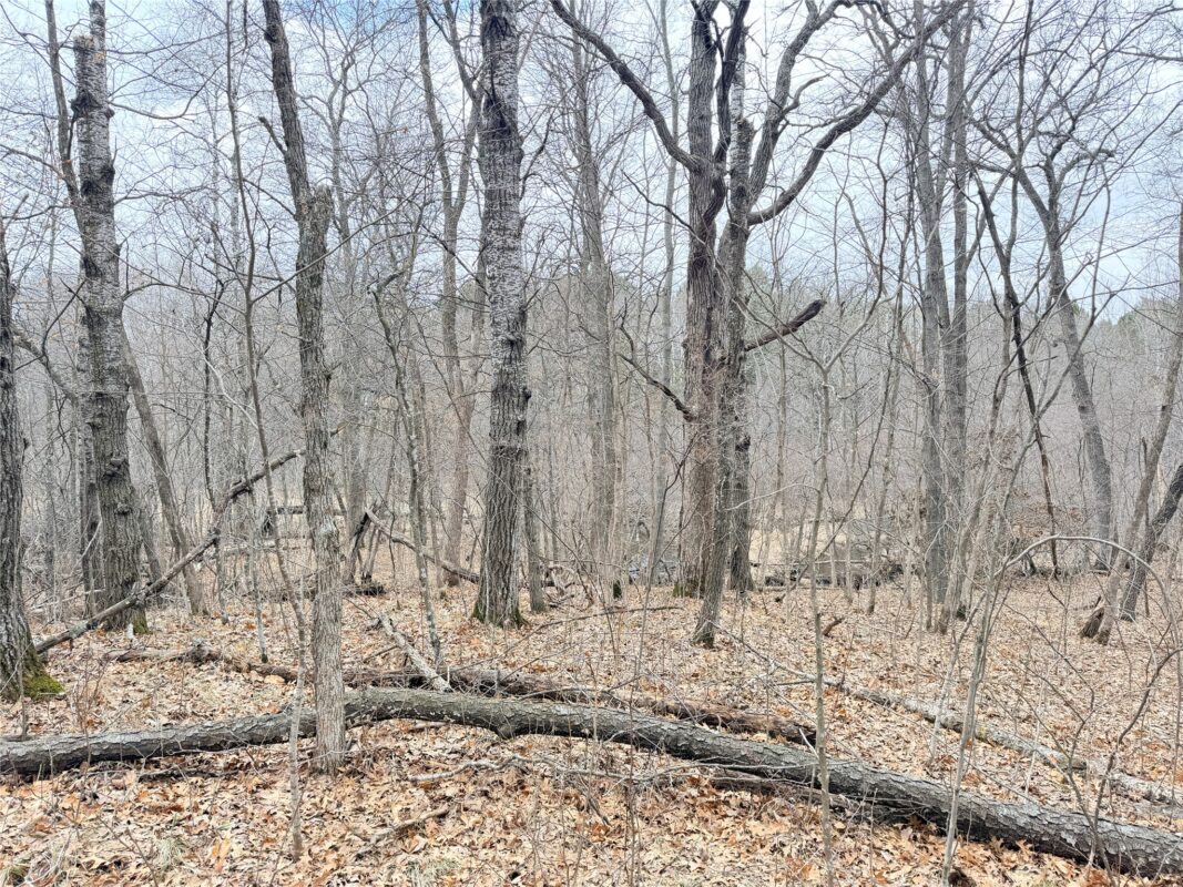 Lot 5 Big Lake Drive Osceola WI 54020 — photo 11
