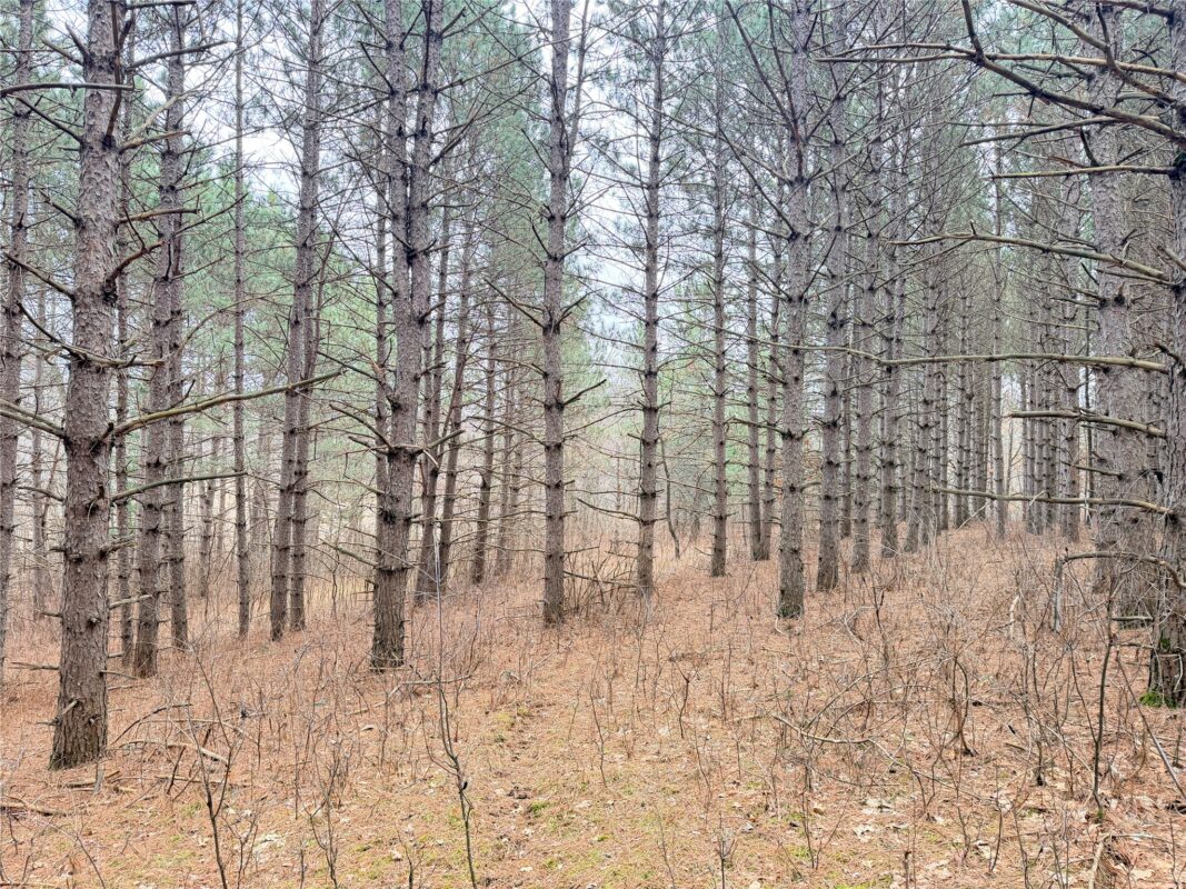 Lot 5 Big Lake Drive Osceola WI 54020 — photo 12