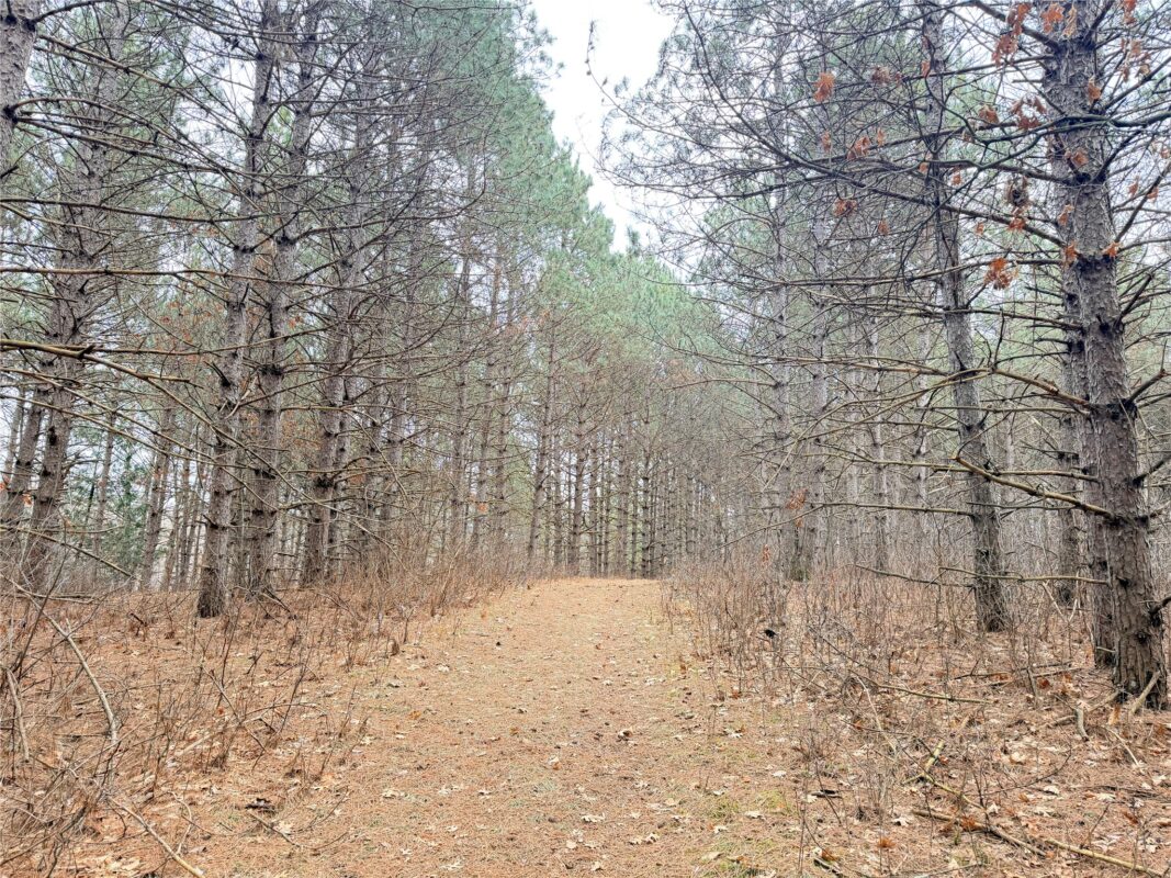 Lot 5 Big Lake Drive Osceola WI 54020 — photo 13