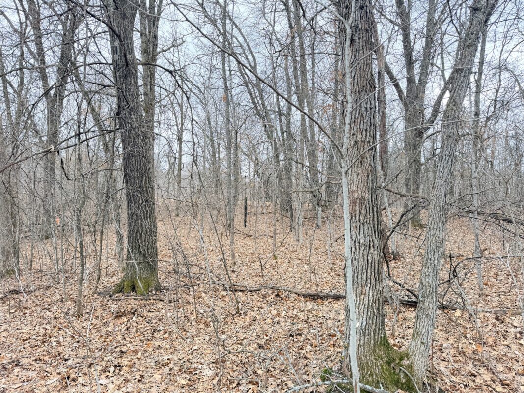 Lot 5 Big Lake Drive Osceola WI 54020 — photo 14