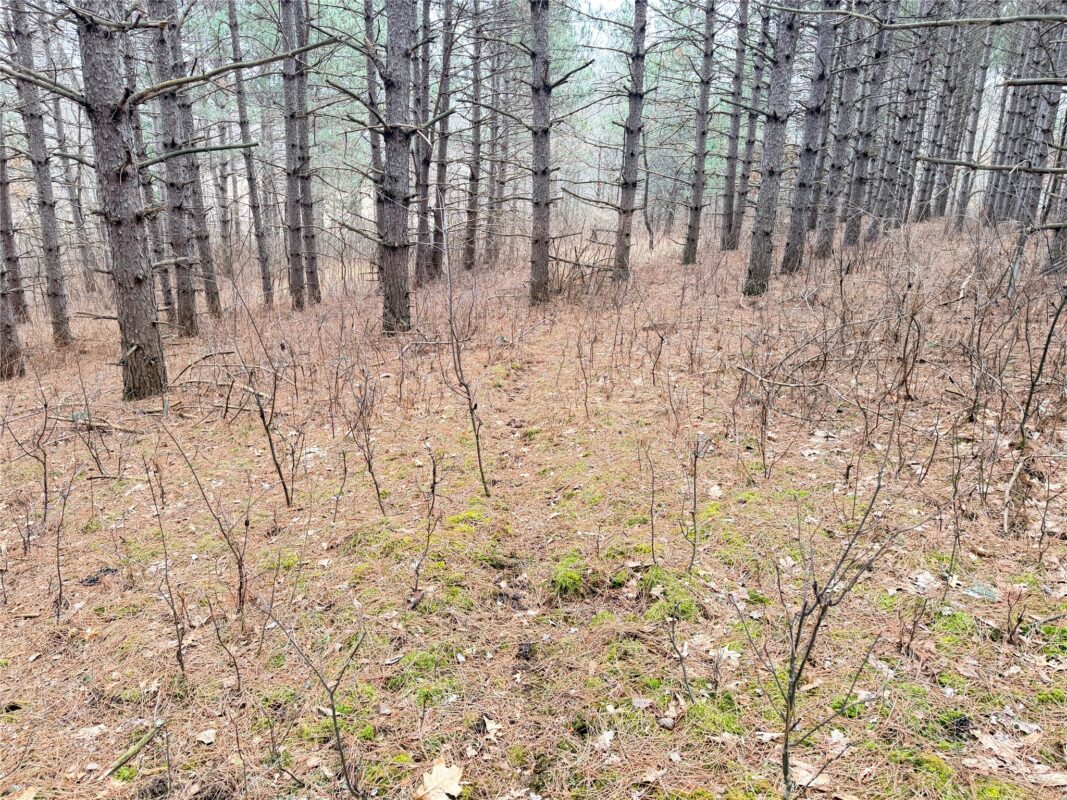 Lot 5 Big Lake Drive Osceola WI 54020 — photo 15