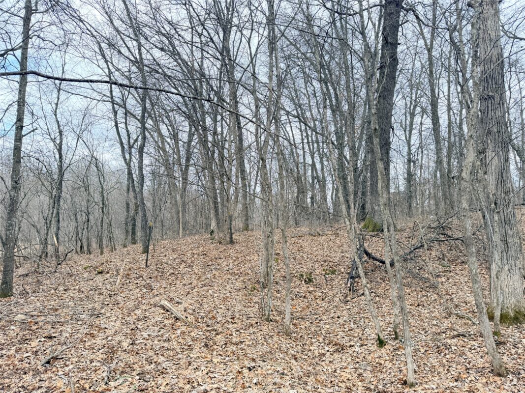 Lot 5 Big Lake Drive Osceola WI 54020 — photo 16