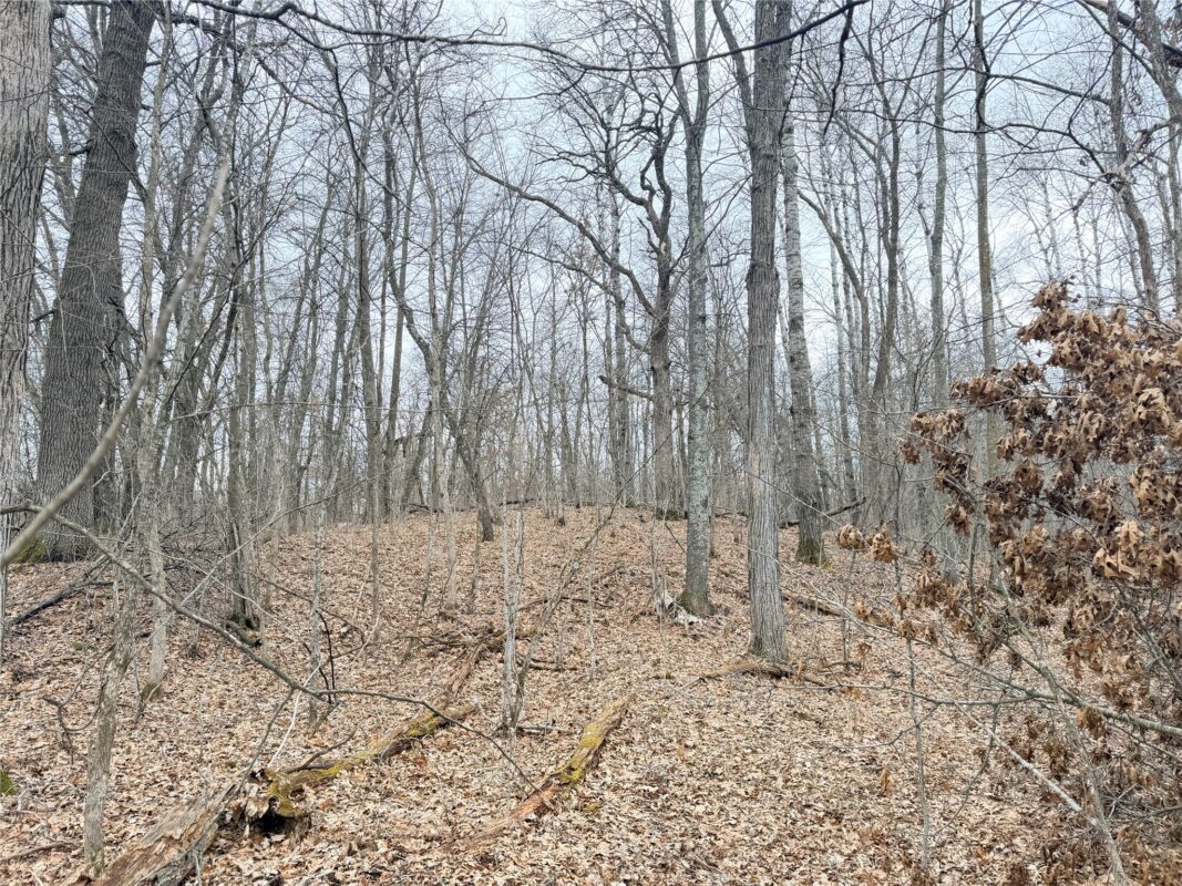 Lot 5 Big Lake Drive Osceola WI 54020 — photo 18