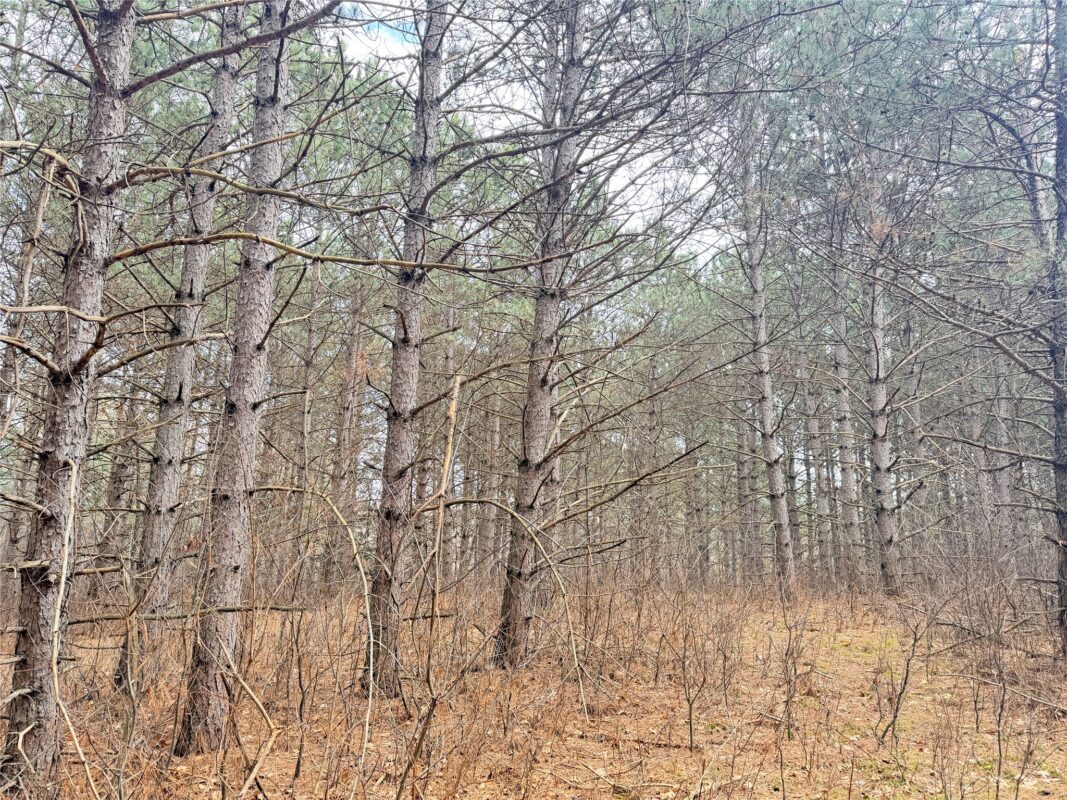 Lot 5 Big Lake Drive Osceola WI 54020 — photo 19