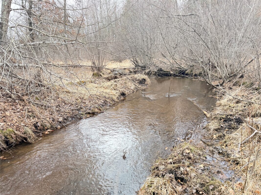 Lot 5 Big Lake Drive Osceola WI 54020 — photo 2