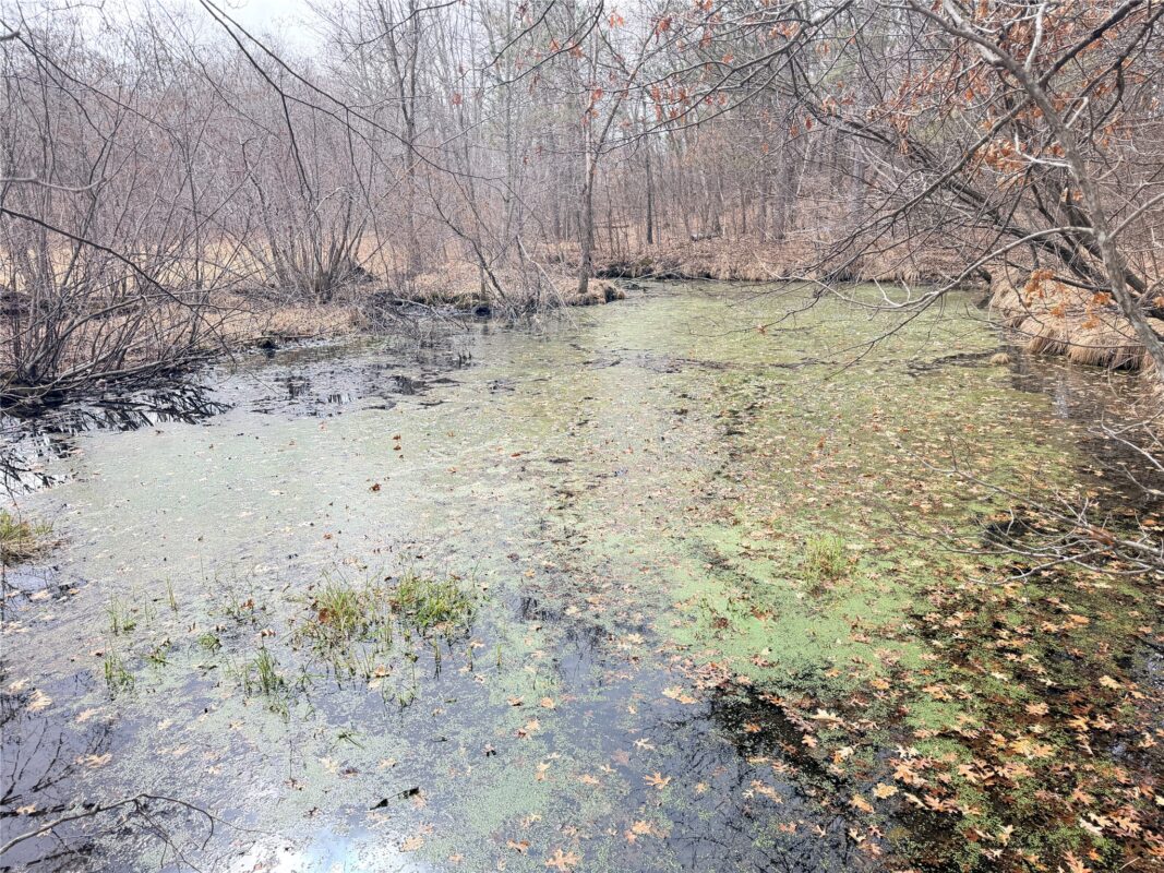 Lot 5 Big Lake Drive Osceola WI 54020 — photo 20