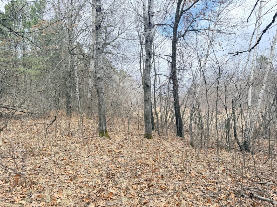 Lot 5 Big Lake Drive Osceola WI 54020 — photo 21