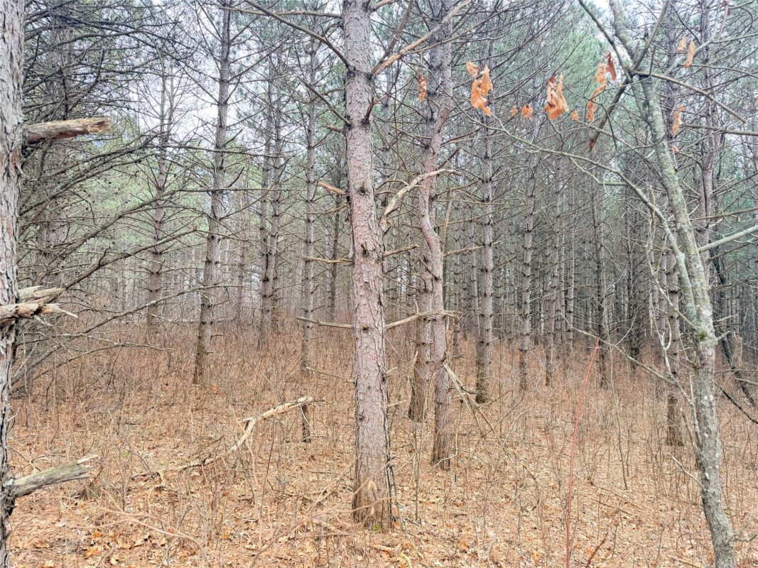 Lot 5 Big Lake Drive Osceola WI 54020 — photo 22