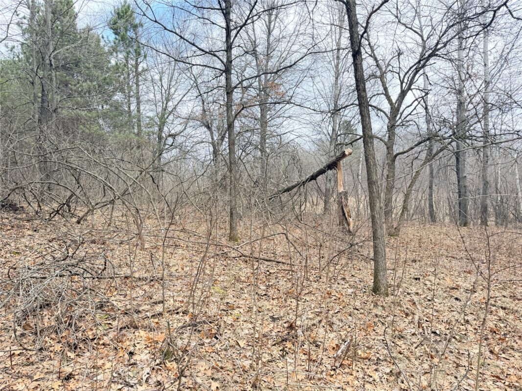 Lot 5 Big Lake Drive Osceola WI 54020 — photo 23
