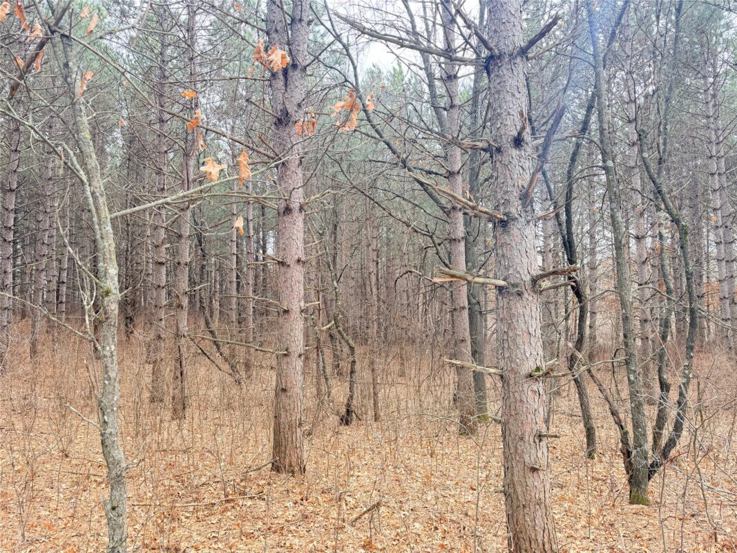 Lot 5 Big Lake Drive Osceola WI 54020 — photo 24