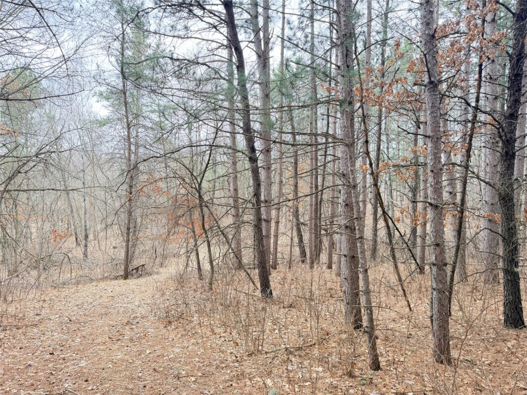Lot 5 Big Lake Drive Osceola WI 54020 — photo 25