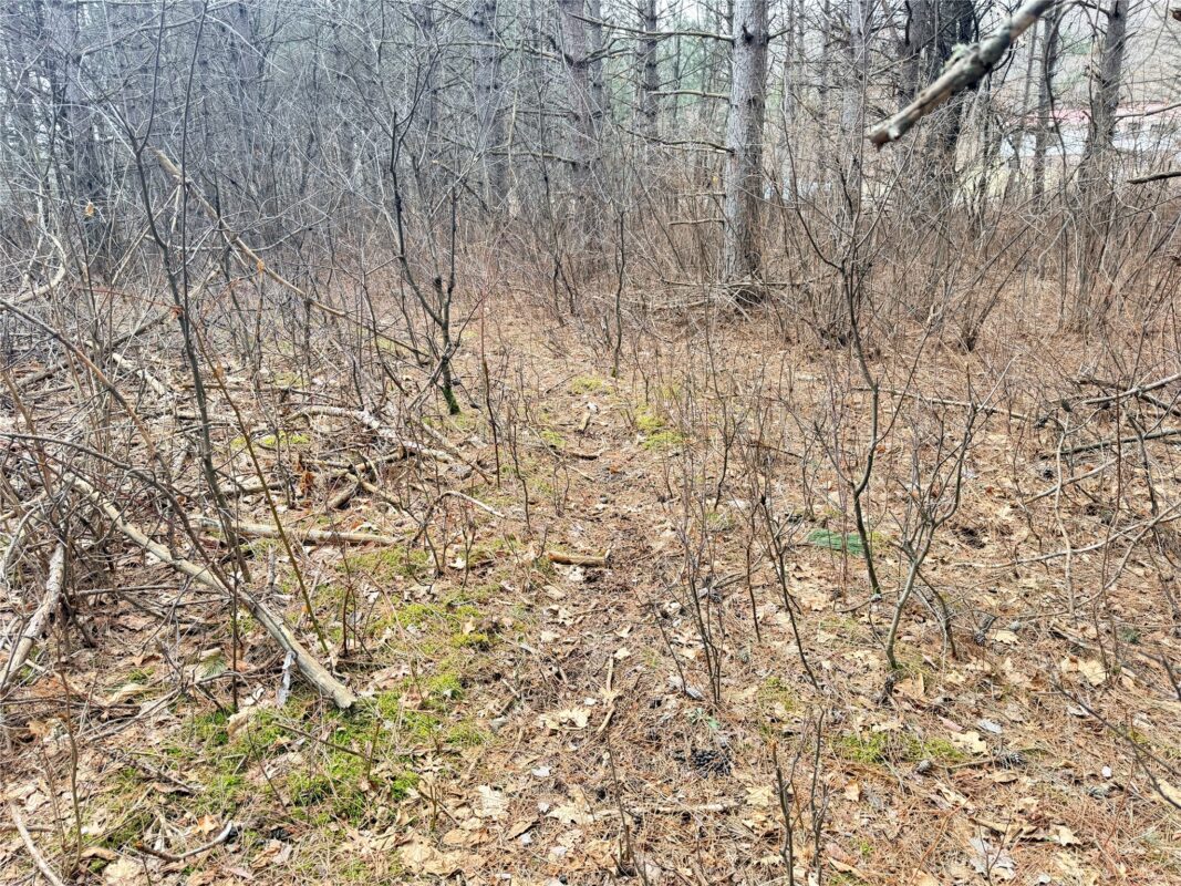 Lot 5 Big Lake Drive Osceola WI 54020 — photo 26