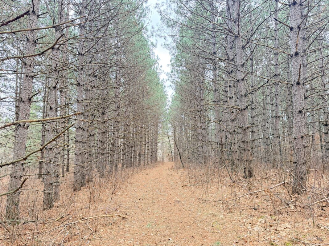 Lot 5 Big Lake Drive Osceola WI 54020 — photo 3