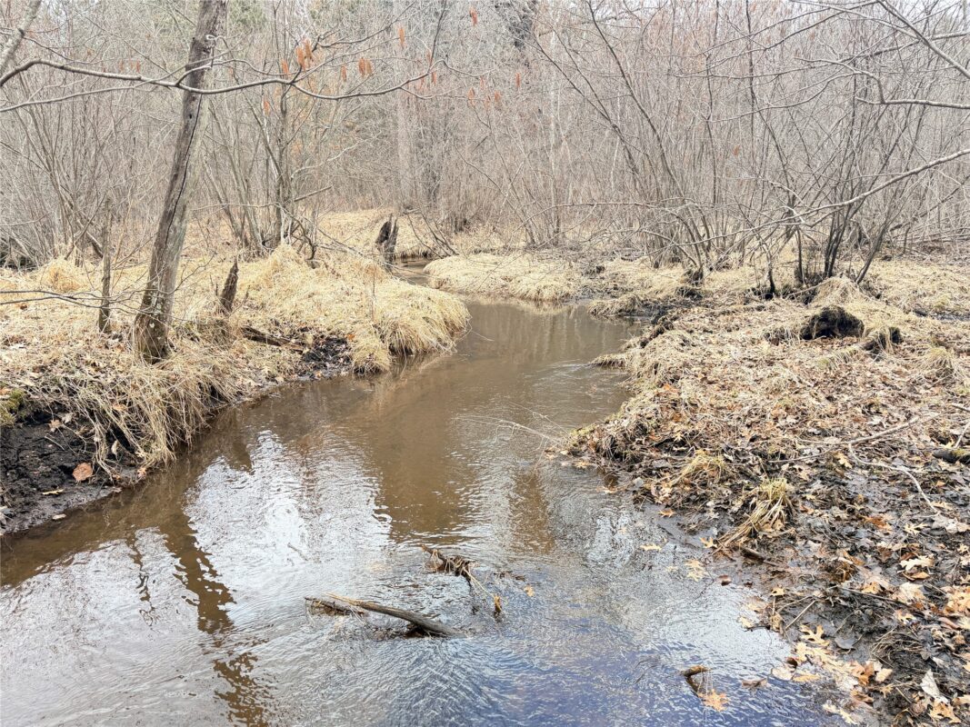 Lot 5 Big Lake Drive Osceola WI 54020 — photo 4