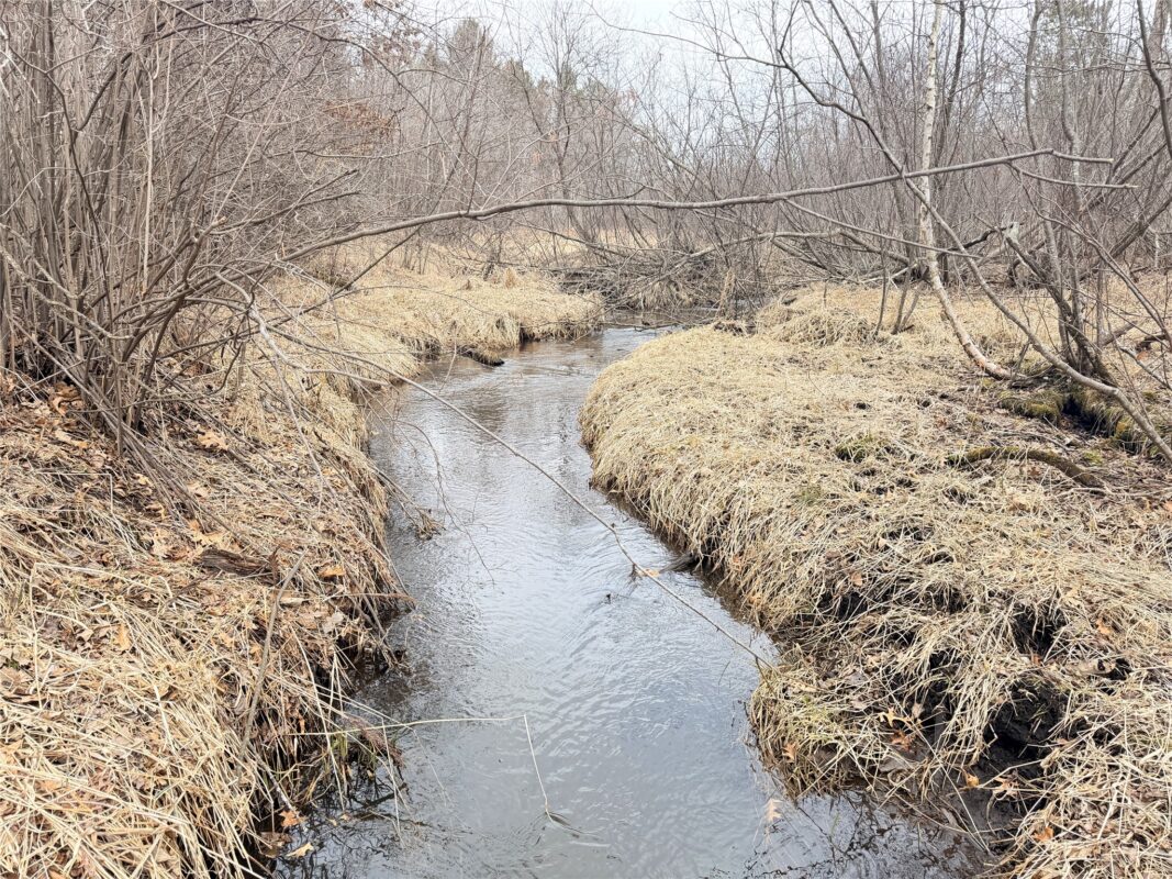 Lot 5 Big Lake Drive Osceola WI 54020 — photo 6