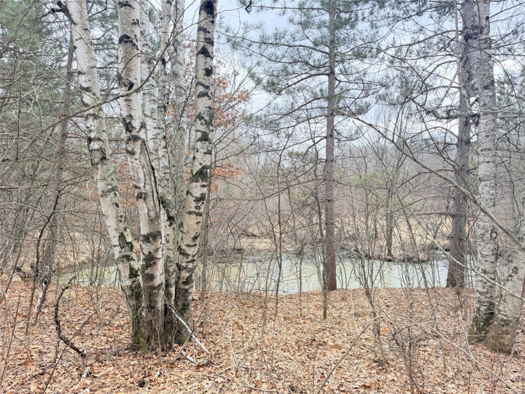 Lot 5 Big Lake Drive Osceola WI 54020 — photo 8