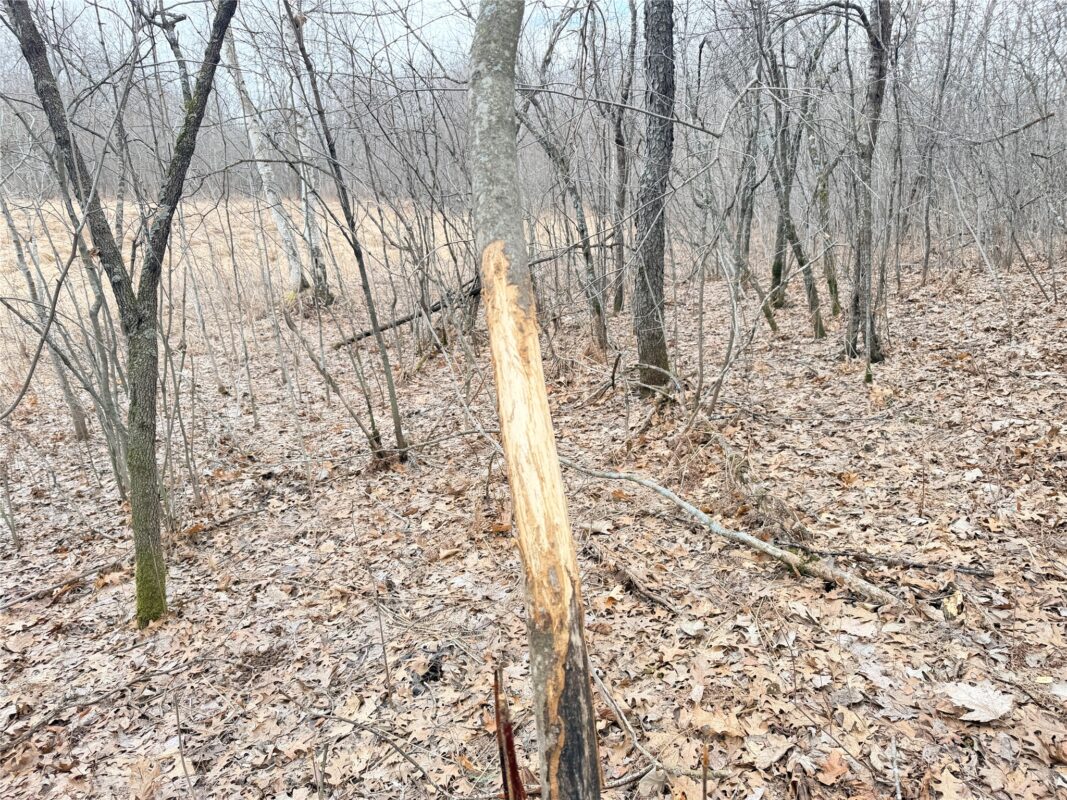 Lot 5 Big Lake Drive Osceola WI 54020 — photo 9