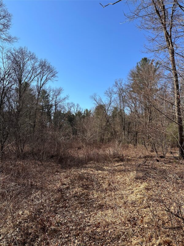 Land at Lot 5 Creekside Court, Eau Claire, WI 54701 — photo 2