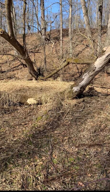 Land at Lot 5 Creekside Court, Eau Claire, WI 54701 — photo 4