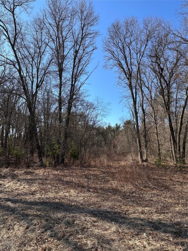 Land at Lot 5 Creekside Court, Eau Claire, WI 54701 — photo 5