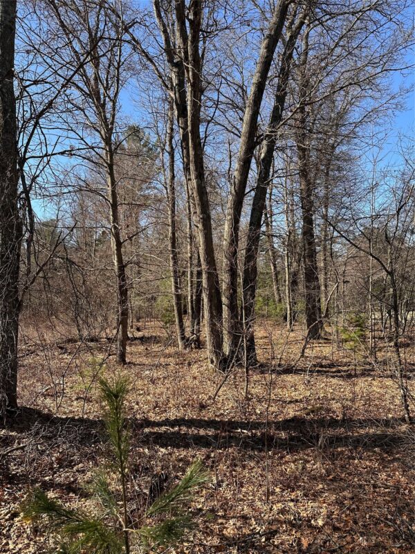 Land at Lot 5 Creekside Court, Eau Claire, WI 54701 — photo 7