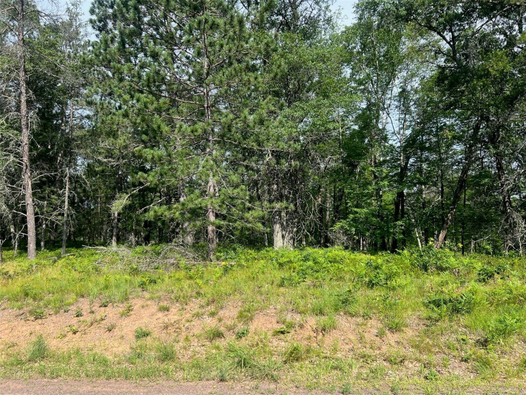 Lots 68 & 69 Spotted Fawn Trail, Danbury, WI