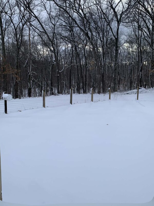 N8673 Firelane Road Springbrook WI 54875 — photo 31